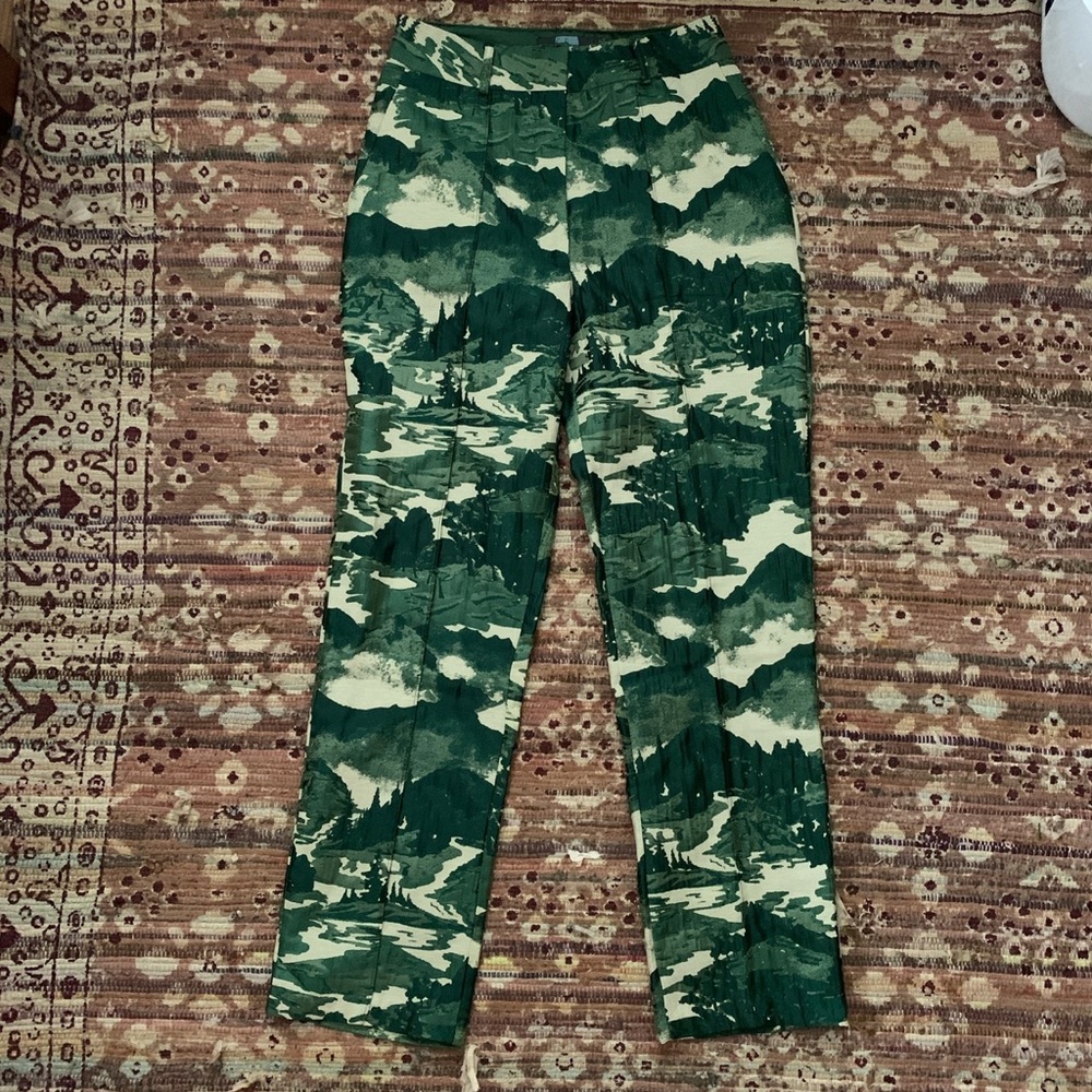 Eva Franco for Anthropologie landscape print pants